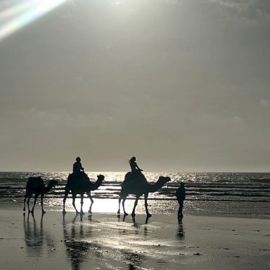 Camel Riding during the sunset in Sidi Kaouki