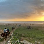 Horseback Riding in Sidi Kaouki at the beach