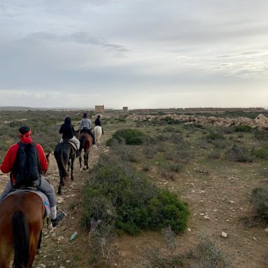 group of people riding horses in Sidi Kaouki
