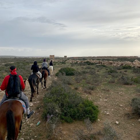group of people riding horses in Sidi Kaouki